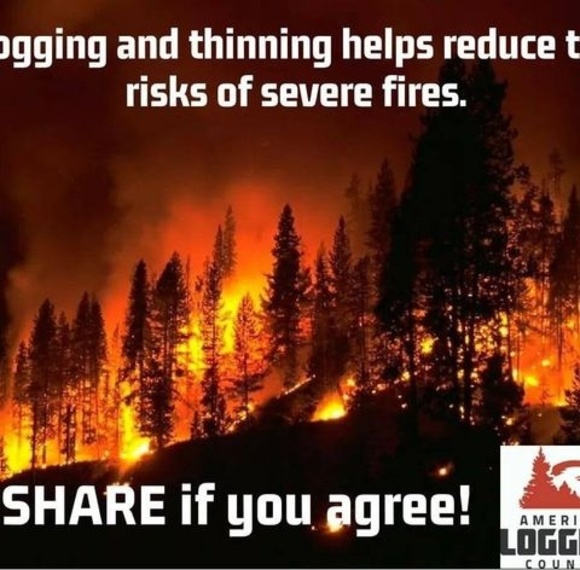 Meet your Posher, John - Picture 1 of 1